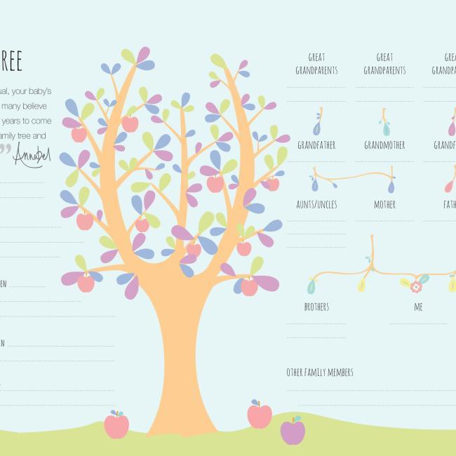 Produktbild Baby's First-Year Journal (Englisch, Annabel Karmel, 2019)