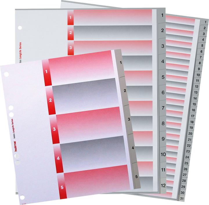Image du produit Kolma Répertoire LongLife XL format extra large gris, avec feuille d'index