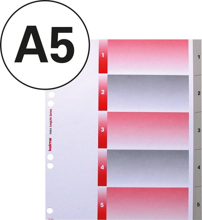 Image du produit Kolma Répertoire LongLife XL format extra large gris, avec feuille d'index