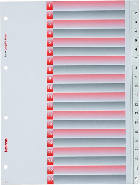 Actual product image Kolma Register LongLife full size white, with index sheet