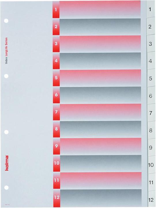 Produktbild Kolma Register LongLife Vollformat weiss, mit Indexblatt