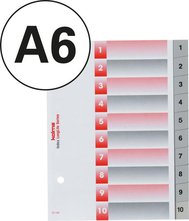 Produktbild Kolma Register LongLife Vollformat grau, mit Indexblatt