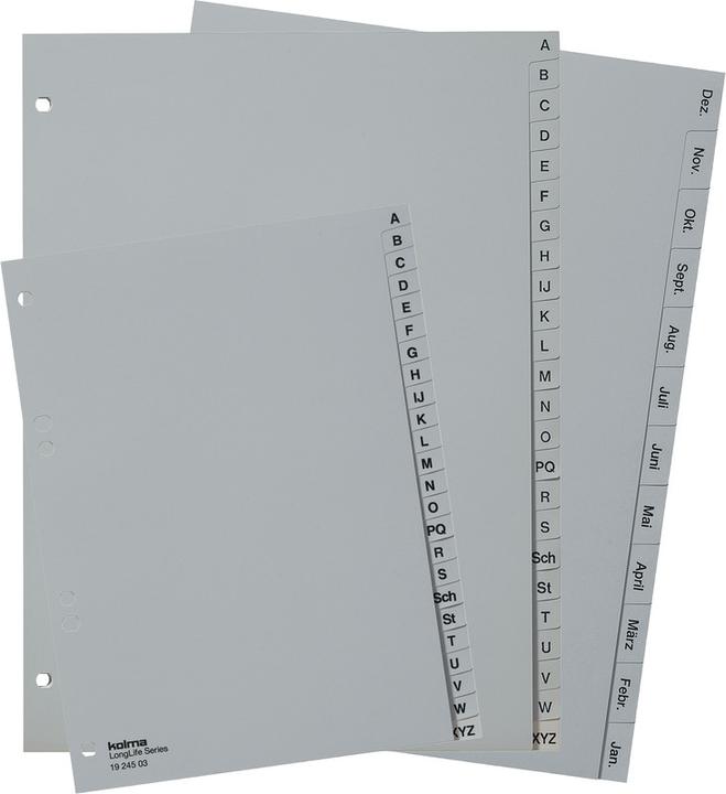 Actual product image Kolma Register A4 superstrong Jan-Déc (fr) 12-piece grey