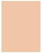 Image du produit Shiseido Synchro Skin Radiant Lifting (150 Dentelle)
