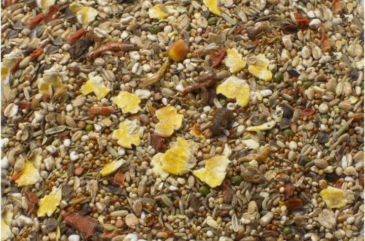 Produktbild JR Farm Hauptfutter Basic Mäuse-Schmaus, 600 g (0.70 kg, 1 x)