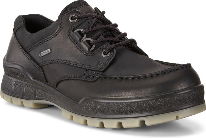 Ecco Track 25 Low GTX (43)