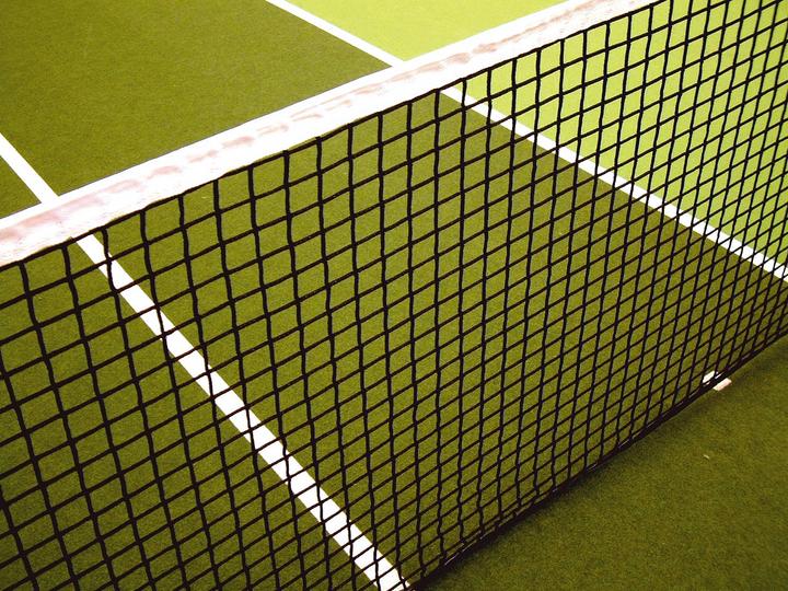 Actual product image Court Royal Tennis net single, with tensioning rope at the bottom