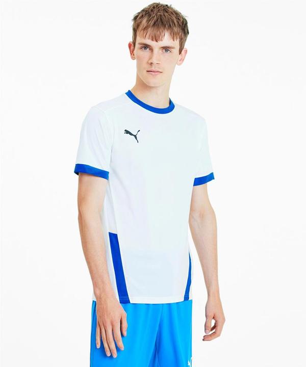 Actual product image Puma teamGOAL 23 Jersey-704171 (M)