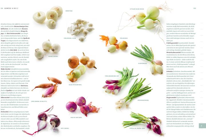 Produktbild Aroma Gemüse (Deutsch, Thomas Vilgis, Thomas Vierich, 2021)