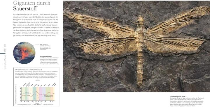 Actual product image Die Erde - Wunderwelt unseres Planeten (German, Philip Eales, Gregory Funston, Derek Harvey., Anthea Lacchia, Dorrik Stow, 2023)