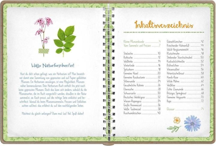 Actual product image Naturforscher-Kids – Blüten und Blätter entdecken und sammeln (German, Anna Linstadt, 2024)