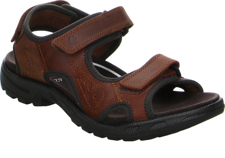 Produktbild Ecco Hike M (48)