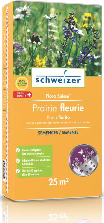 Schweizer La flore suisse (Réensemencement de la pelouse)