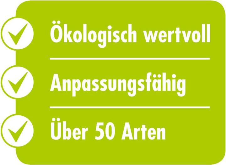 Produktbild Schweizer Flora Suisse (Rasensamen)