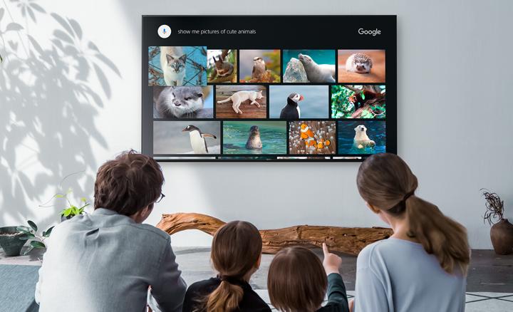 Immagine prodotto Sony Kd-43xf8505 (43", LCD, 4K, 2018)