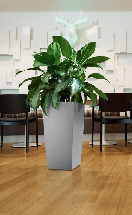 Produktbild Lechuza Cubico (29.50 cm)
