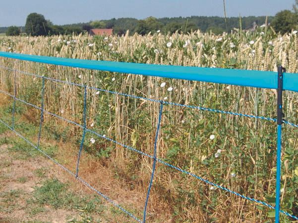 Produktbild Kerbl WildNet Wildschweinabwehrnetz Länge: 50 m