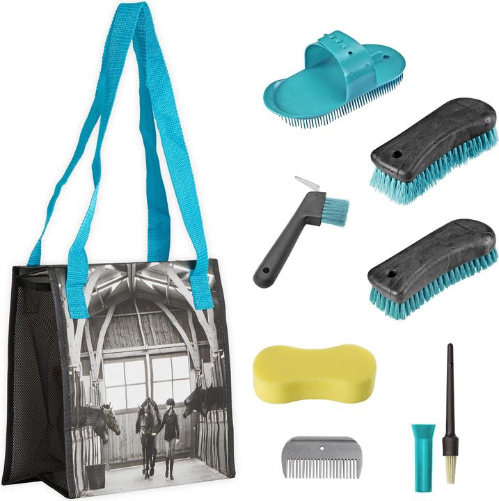 Actual product image Fouganza Grooming Kit