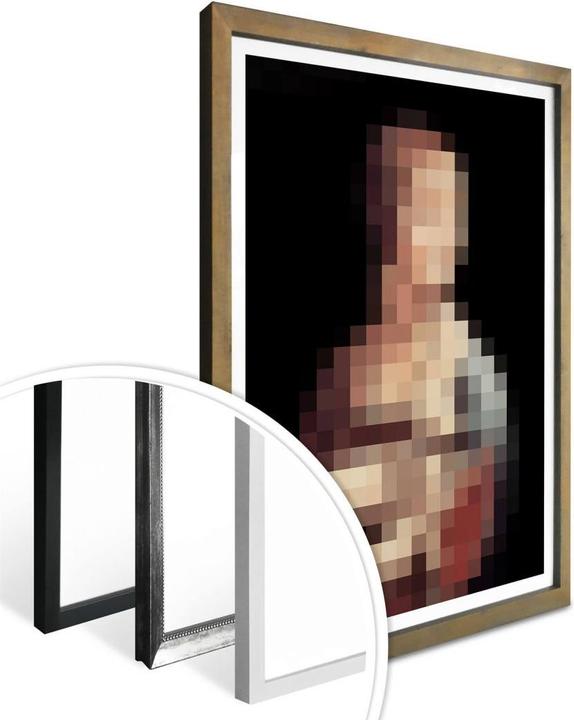 Image du produit Trenddeko Pixelart - da Vinci - La dame à l'hermine (120 x 150 cm)