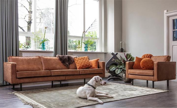 Produktbild BePureHome Rodeo