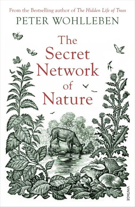 Image du produit Le réseau secret de la nature (Peter Wohlleben, Anglais)