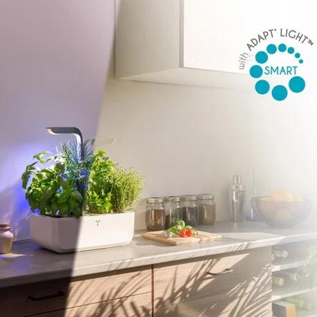 Image du produit Véritable Connect Indoor Garden (18 cm)