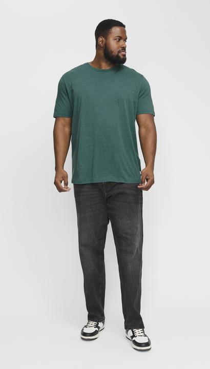 Produktbild Jack & Jones Jjeorganic Mel Tee Ss O-Neck Noos Pls (8XL)
