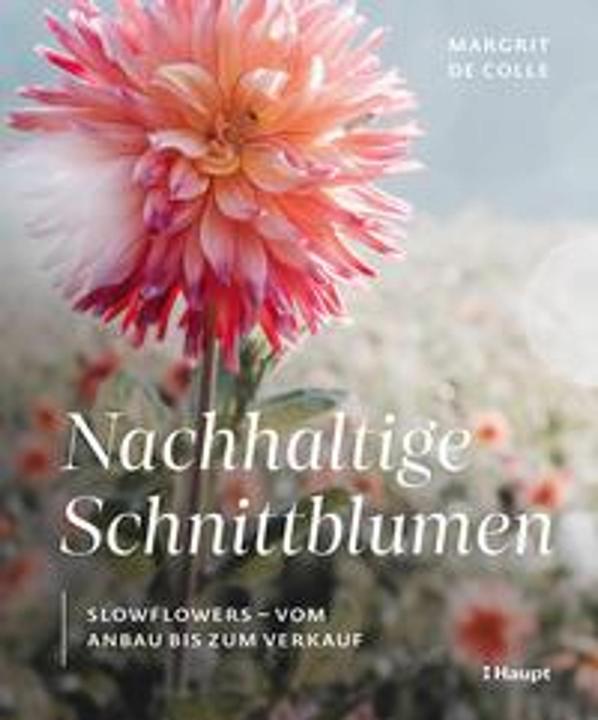 Guidebooks