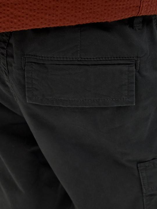 Actual product image Jack & Jones Regular Fit Cargo Shorts Junior Cargo Shorts (170)