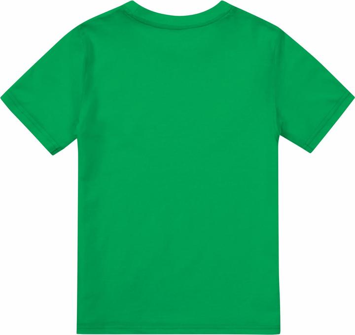 Immagine prodotto PJ Masks Maglietta Gekko da ragazzo (116)
