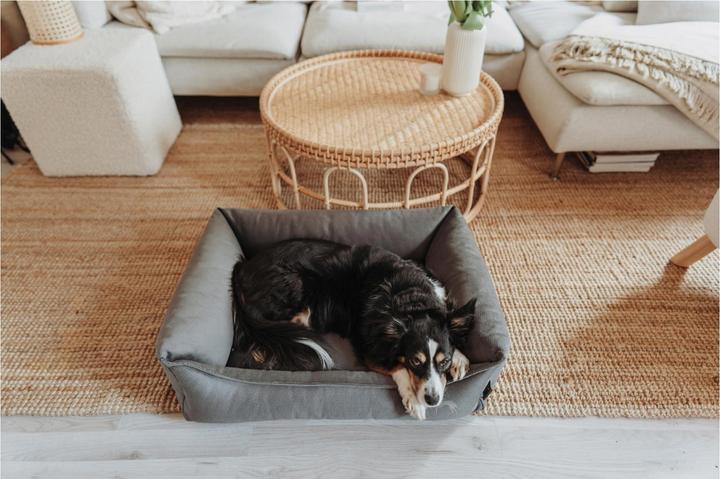 Actual product image Hunter Merida Orthopaedic Dog Bed (Dog)