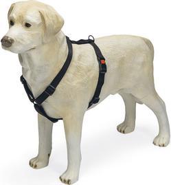 Produktbild Karlie Art Sportiv Plus Geschirr neue universal Farben Mix and Match (L, Hund, Spazieren)