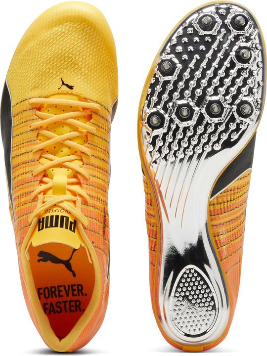 Actual product image Puma evoSPEED BRUSH 6 (42.5)