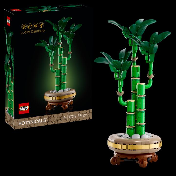 Productafbeelding LEGO Glücks-Bambus (10344, LEGO Icons)