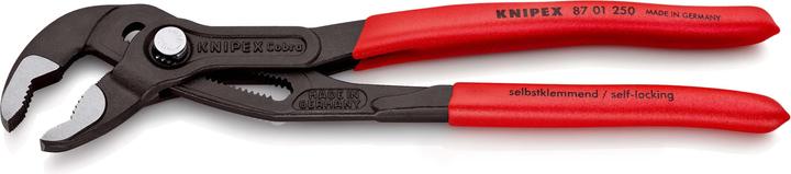 Actual product image Knipex Cobra (250 mm)