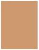 Actual product image Sensai Cellular Performance Cream Foundation SPF 15 (CF24 Amber Beige)