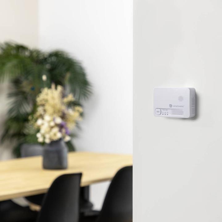 Actual product image Smartwares Carbon monoxide detector