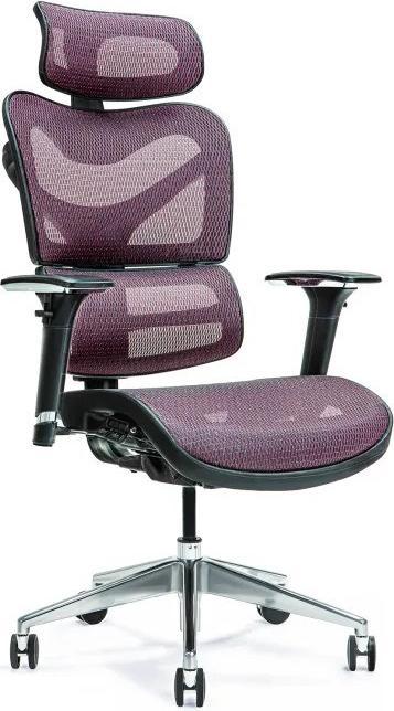 Image du produit Bemondi Chaise de bureau ergonomique ERGO 600 prune