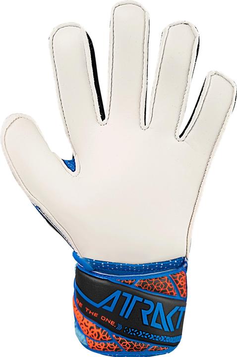 Image du produit Reusch Football Attrakt Solid (8)