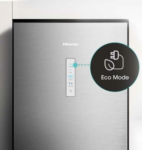 Actual product image Hisense RB440N4CCB (300 l)