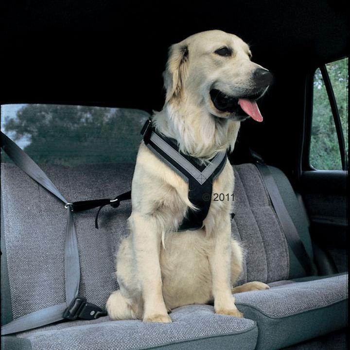 Produktbild Kleinmetall Allsafe (M, Hund, Arbeit, Hundesport, Jogging, Spazieren)