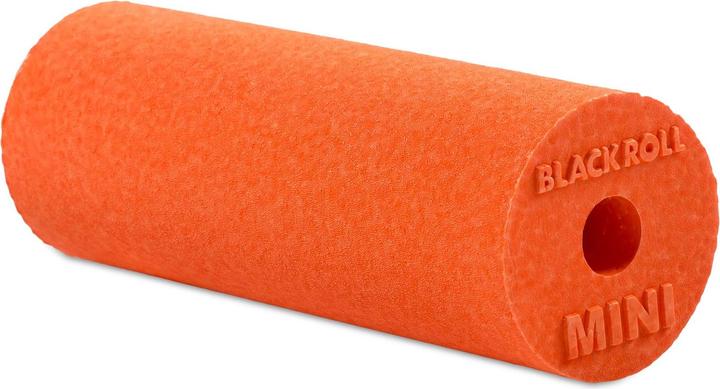 Blackroll Mini