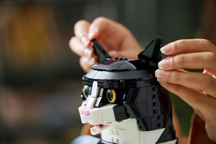 Image du produit LEGO Chat noir et blanc (21349, LEGO Ideas, LEGO difficiles à trouver)
