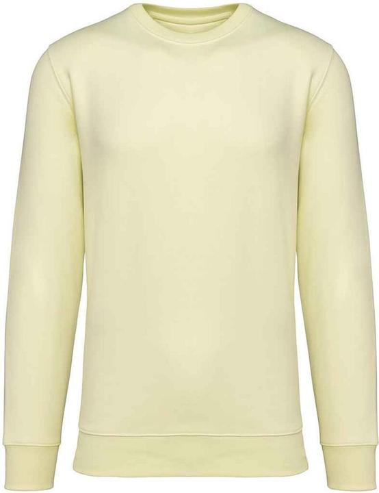 Native Spirit Sweatshirt Rundhalsausschnitt