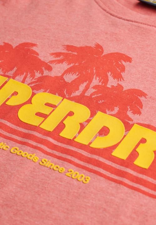 Actual product image Superdry Outdoor Stripe Relaxed Tee (10)