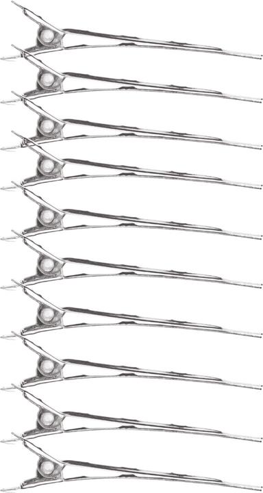 Immagine prodotto XanitaliaPro Fermagli per capelli in acciaio (12 pz.)