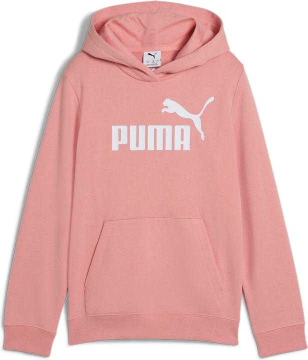 Immagine prodotto Puma ESS Logo No. 1 Felpa con cappuccio TR G (176)