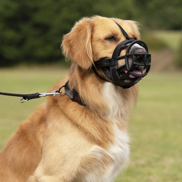 Produktbild Company of Animals Ultra-Maulkorb Baskerville (6, Hund, Allgemein)