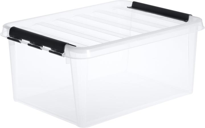 Ebnat Tragbox (40 x 30 x 19 cm, 14 l)