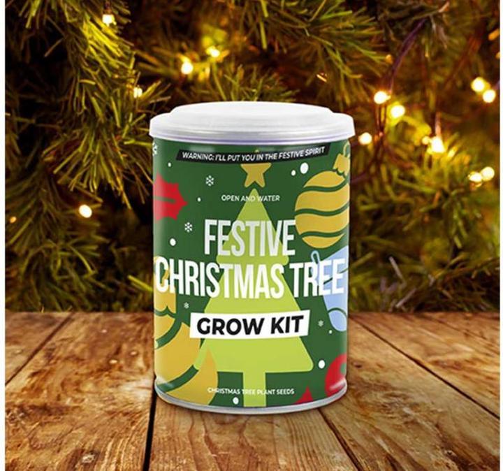 Produktbild TOP Weihnachtsbaum aus der Dose